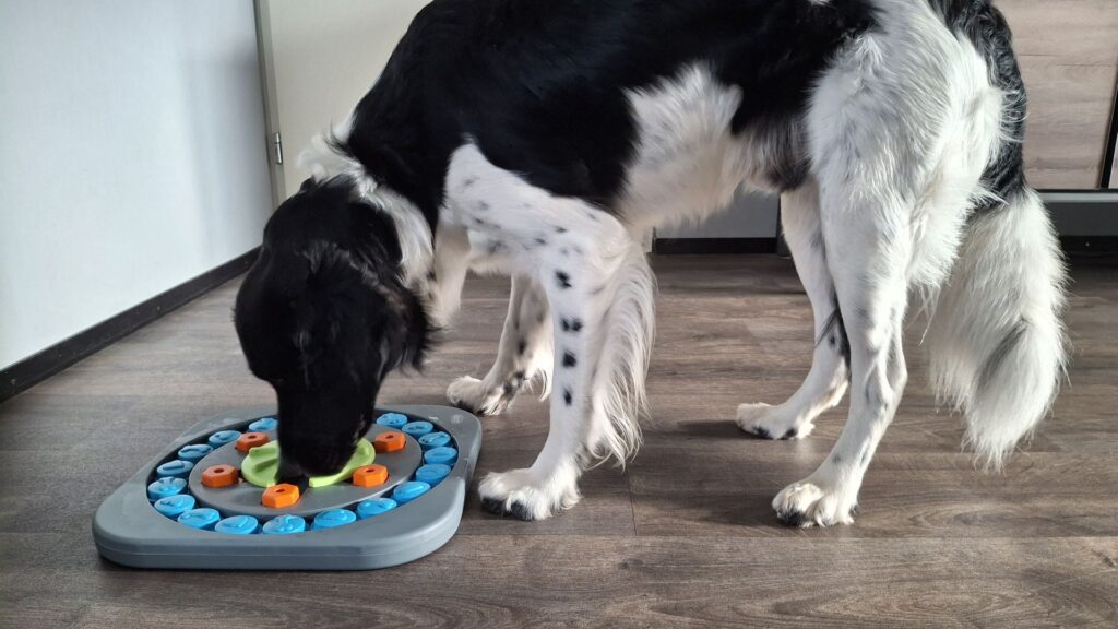 Mister Mill Wiel van Woef Mister Mill Wiel van Woef