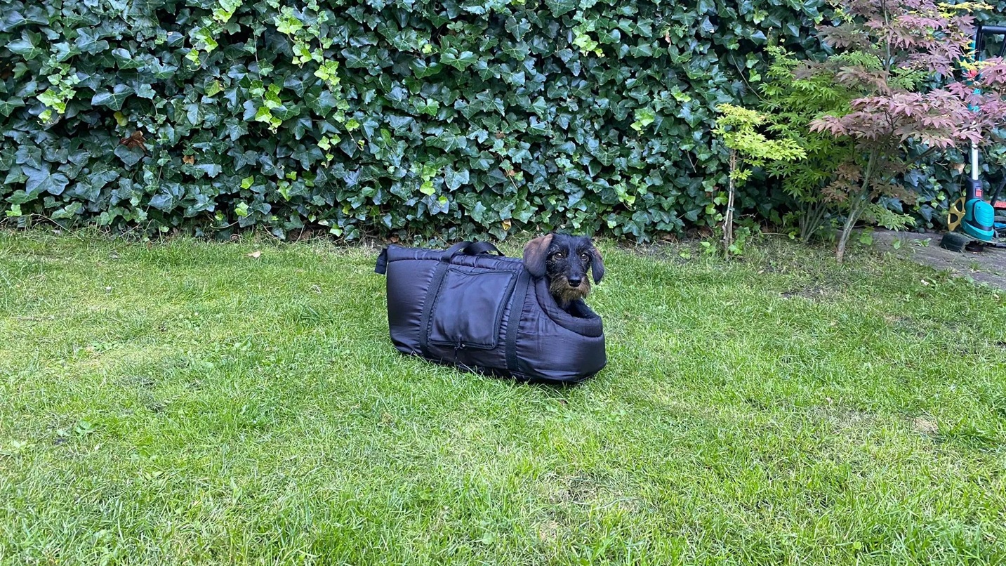 de-beste-hondendraagtassen