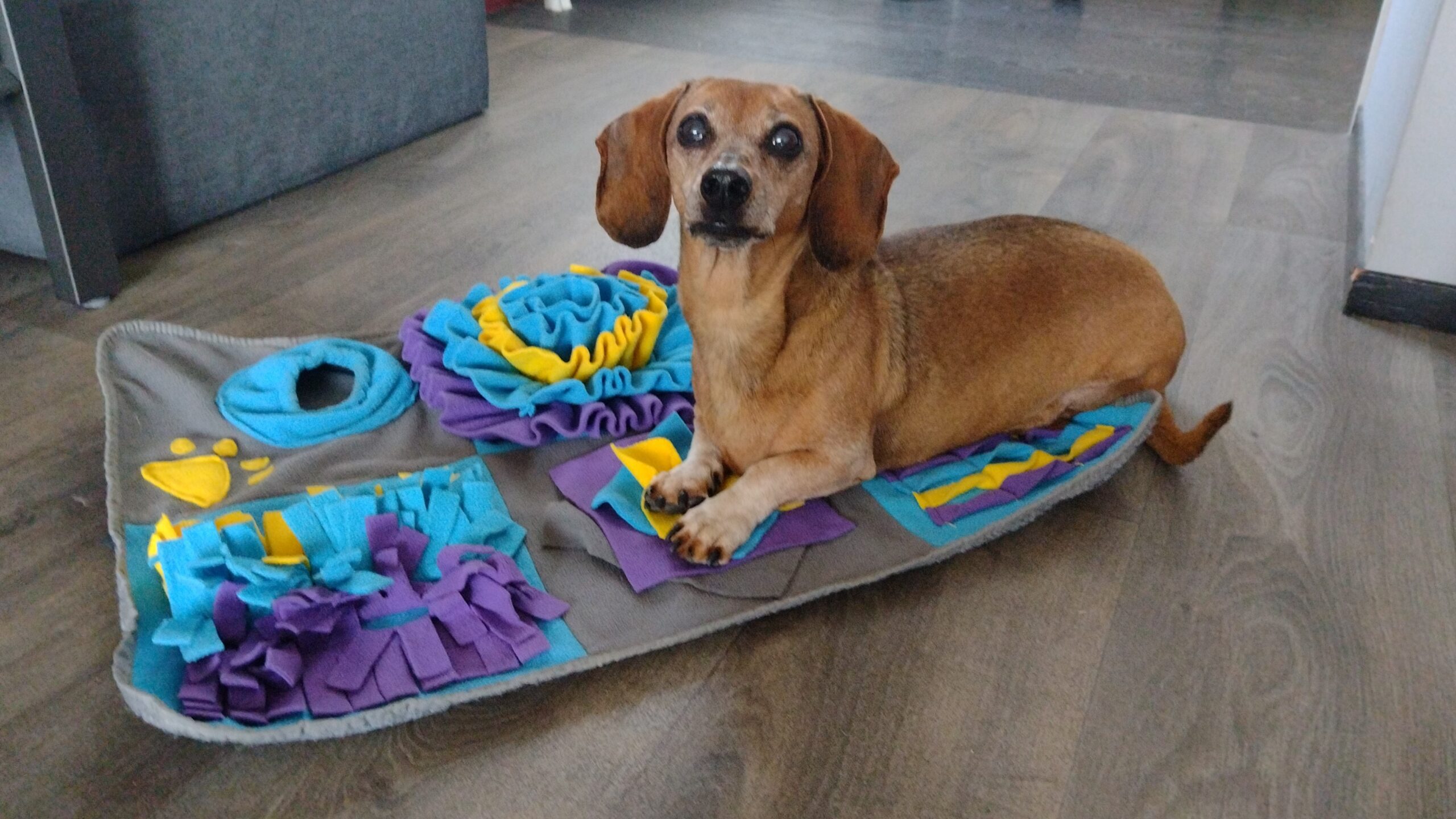 top 10 leukste snuffelmatten