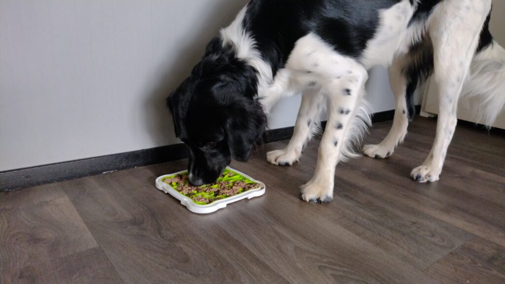 de beste likmatten voor je hond