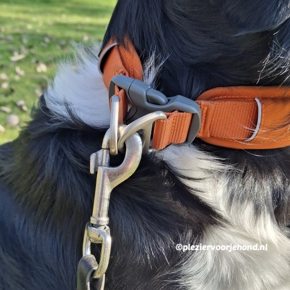 detail d ring dog copenhagen urban Detailfoto van de stevige D-ringen op de Dog Copenhagen Urban Explorer halsband.