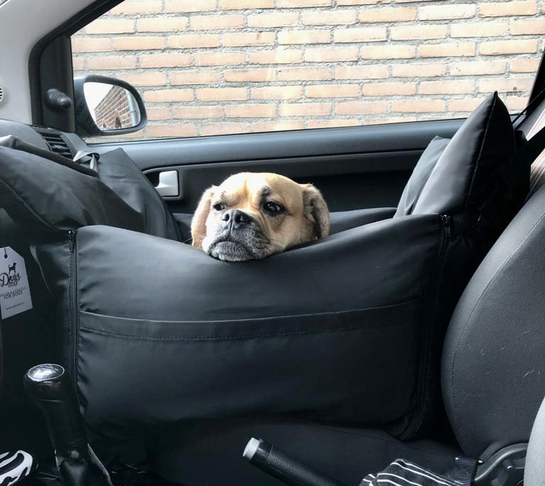 Dogs&Co Royal+ hondenautostoel zwart met hondje op de voorstoel.