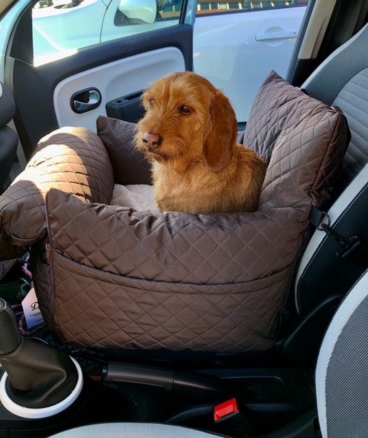 Dogs&Co Royal+ hondenautostoel met teckel op bijrijdersstoel.