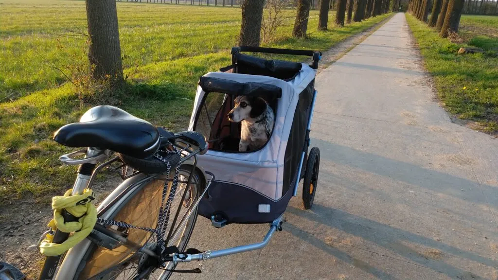 Hond Rim in de Trixie fietskar – Onderzoek naar de beste hondenfietskarren