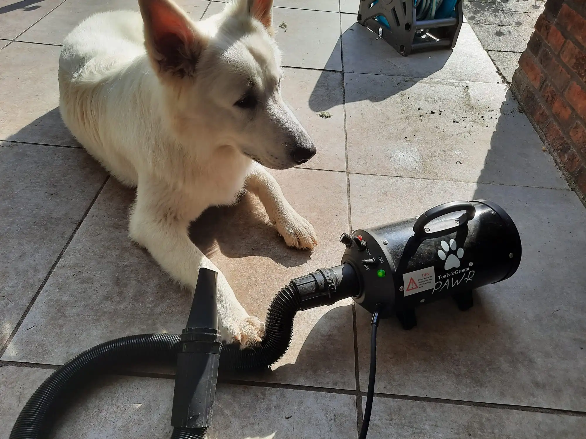 de beste waterblazers voor jouw hond de beste waterblazers voor jouw hond