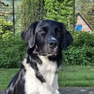 Testpanellid en fotomodel Jelle testpanellid en fotomodel Jelle