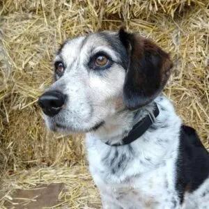 fotomodel Rim fotomodel Rim