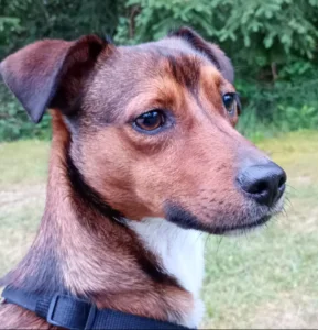 testpanellid en fotomodel Cosimo testpanellid en fotomodel Cosimo