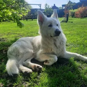 testpanellid en fotomodel Mick testpanellid en fotomodel Mick