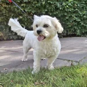 Testpanellid en fotomodel Senna Testpanellid en fotomodel Senna