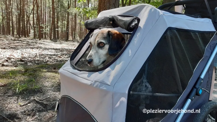 Trixie hondenfietskar als hondenbuggy Beaglekruising Rim in zijn Trixie hondenbuggy die je ook als fietskar kan gebruiken
